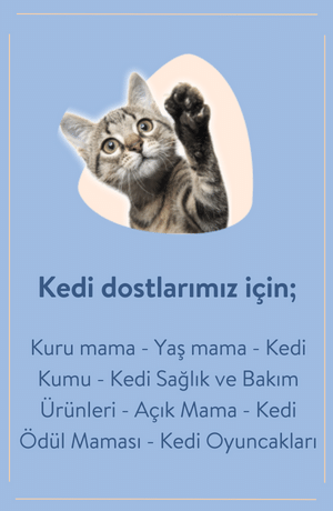 KEDİ