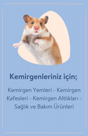 KEMİRGEN